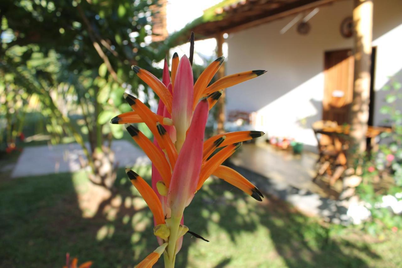 Family Guest House Velha Boipeba ภายนอก รูปภาพ
