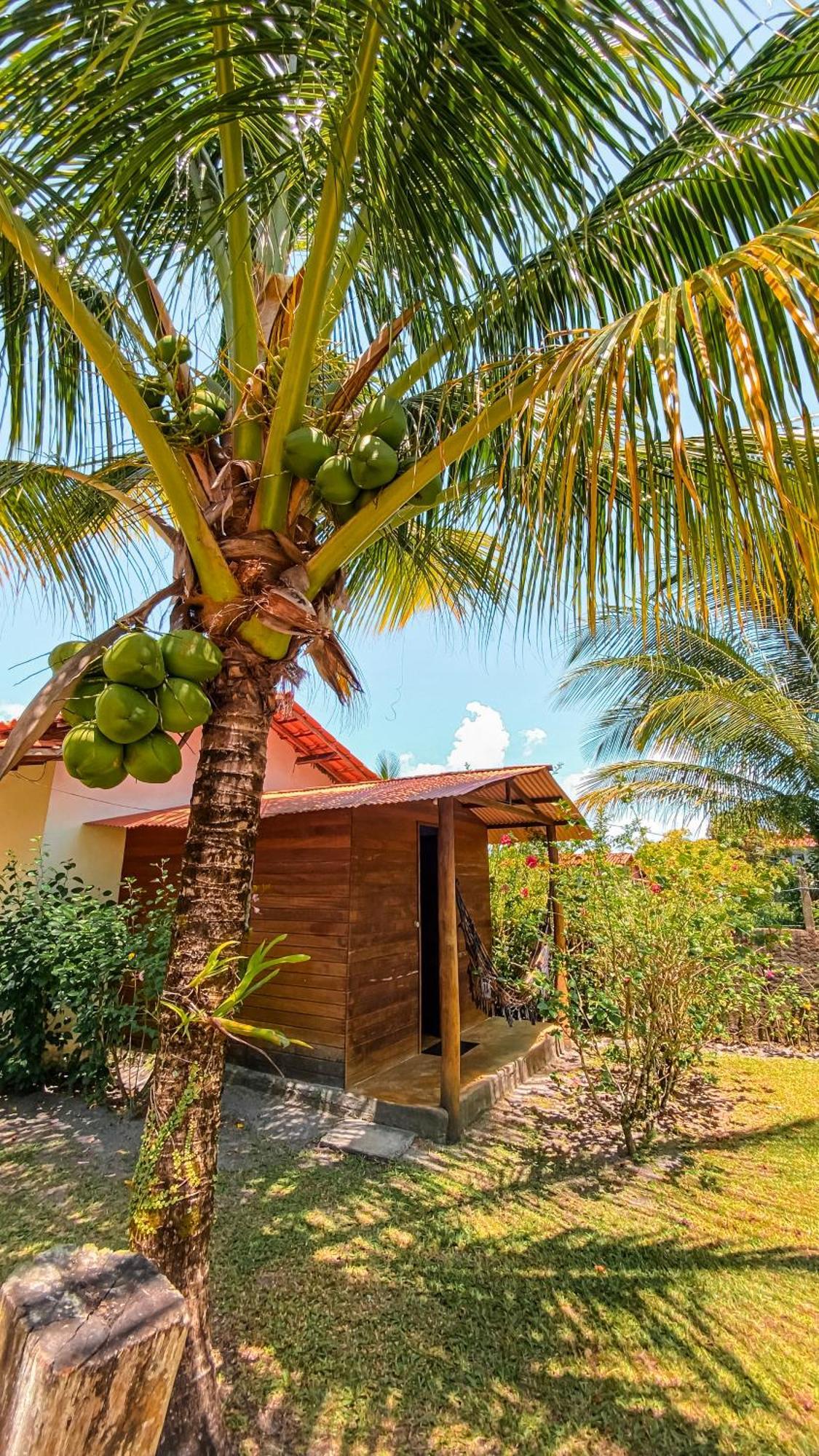 Family Guest House Velha Boipeba ภายนอก รูปภาพ